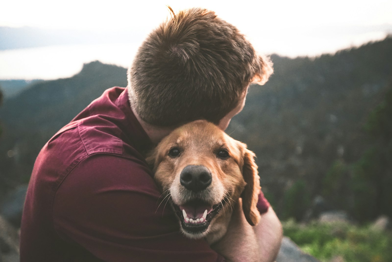 A man hugging his happy golden dog outdoors